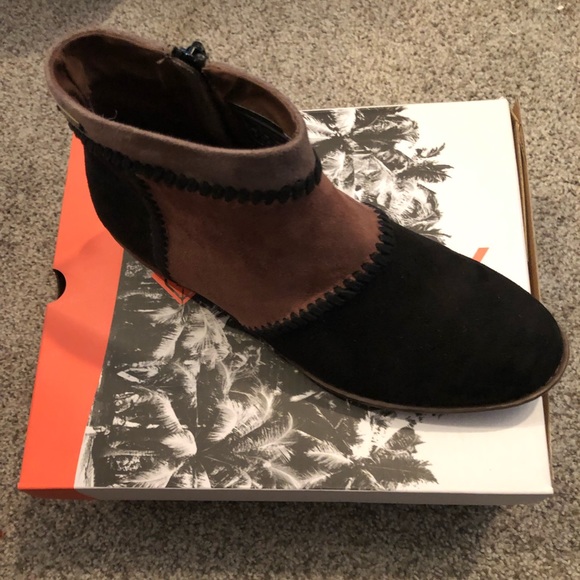 Brand New Roxy - Picture 2 of 5